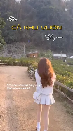Cả khu vườn