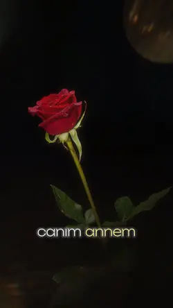 Canım annem