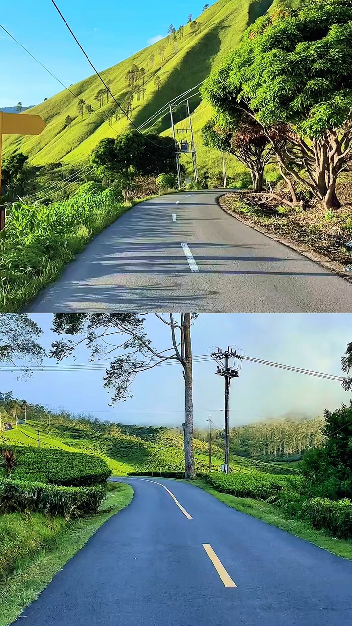 vidéo kolase 2