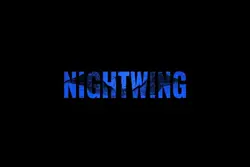 nightwing 