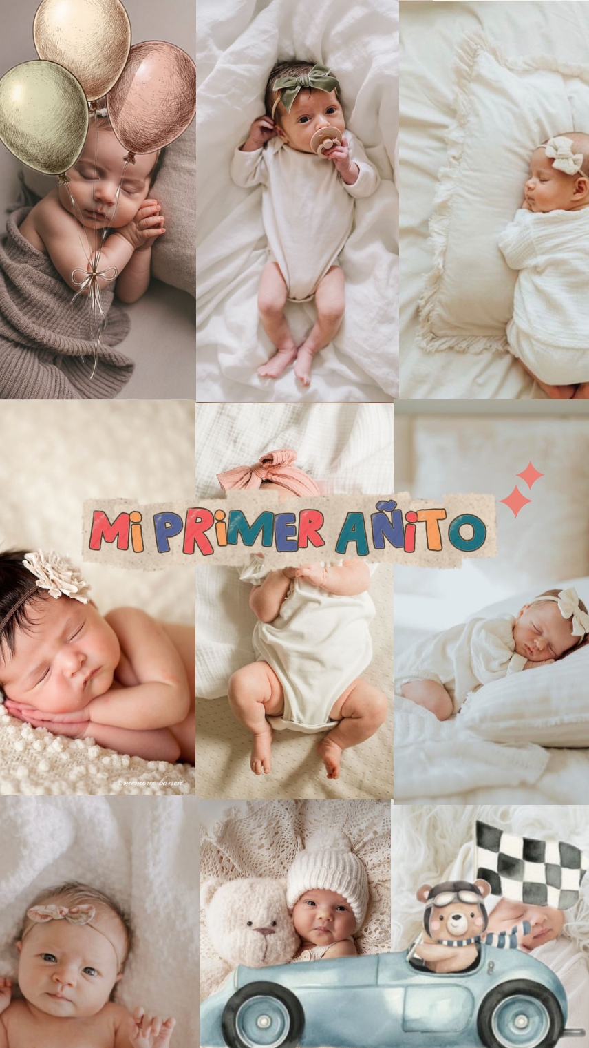 1 año 