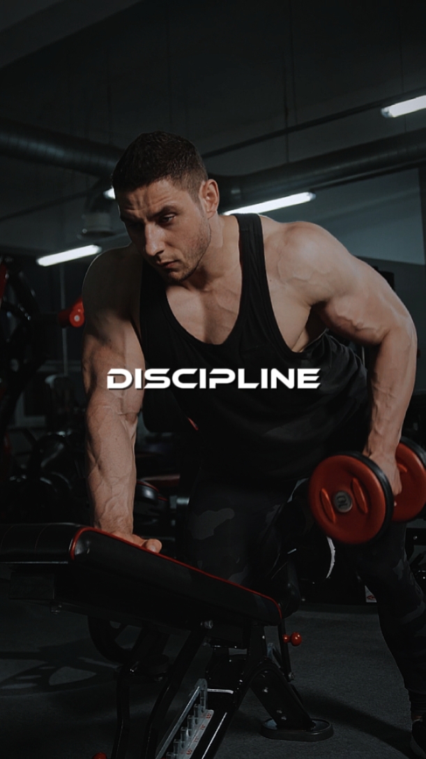 Disciplina