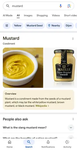 mustard :epilepsy:
