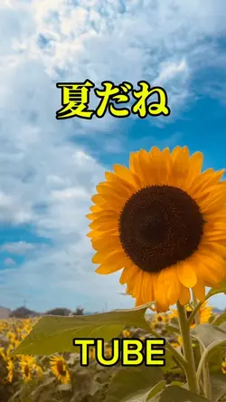 #TUBE#夏だね#動画一枚