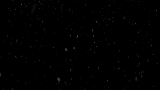 グループが決まりました☺️