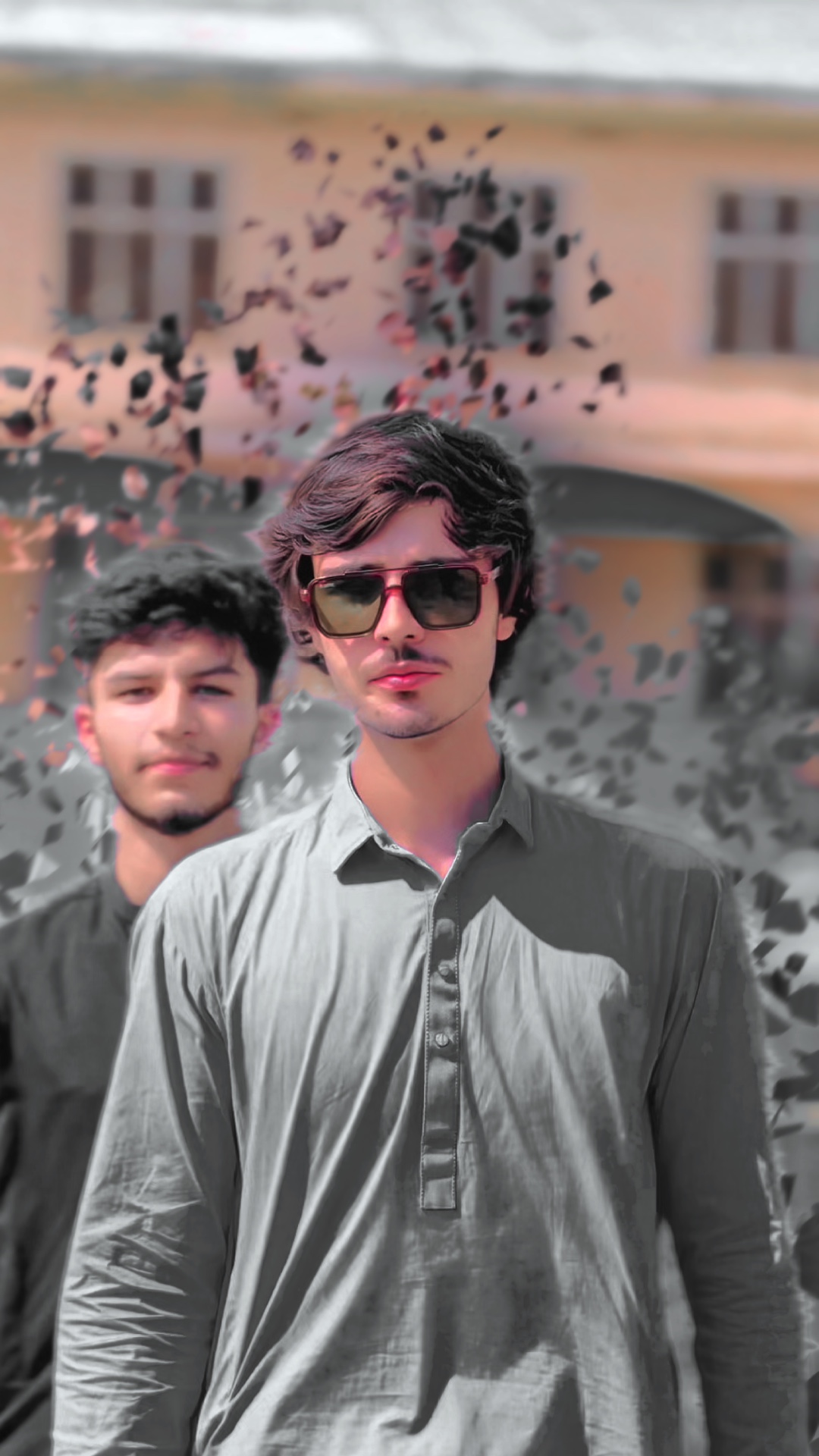 Cover Picture