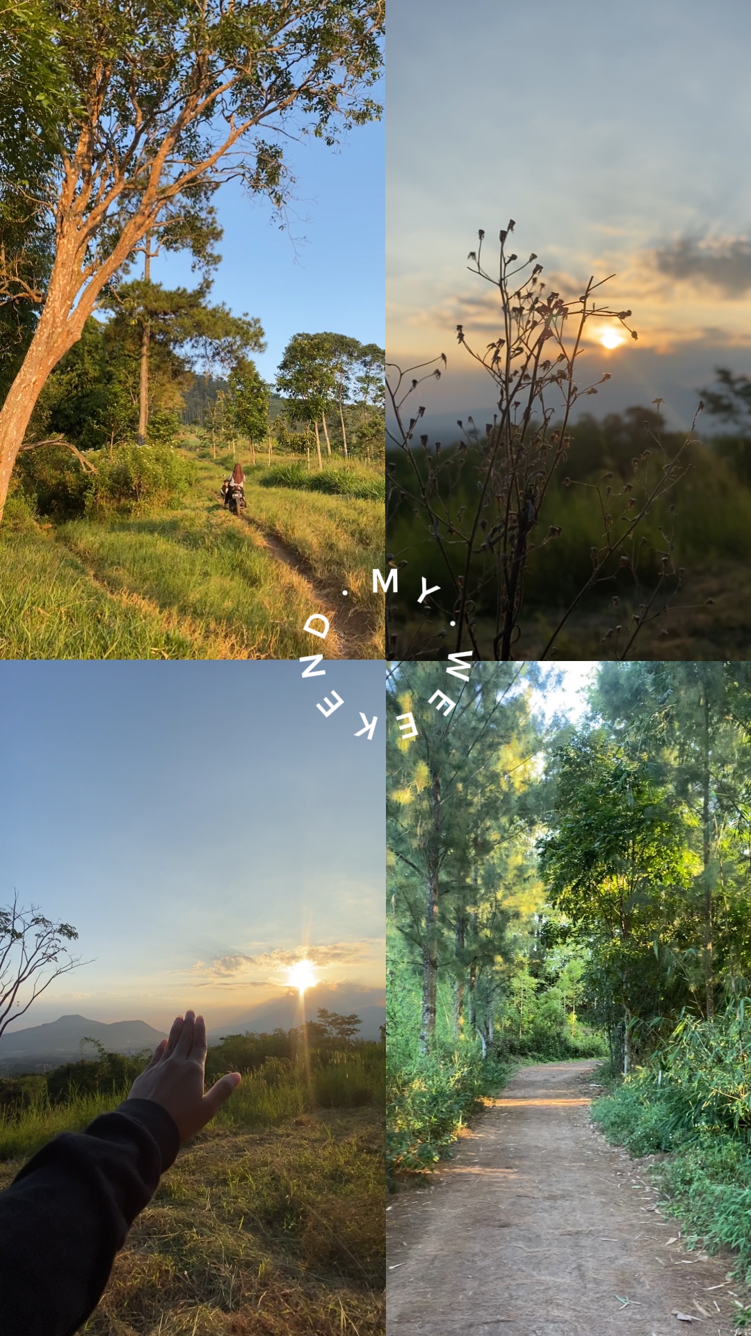 4 grid transisi