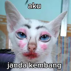 aku janda kembang 