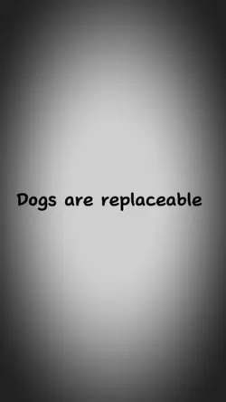 Not this Dog