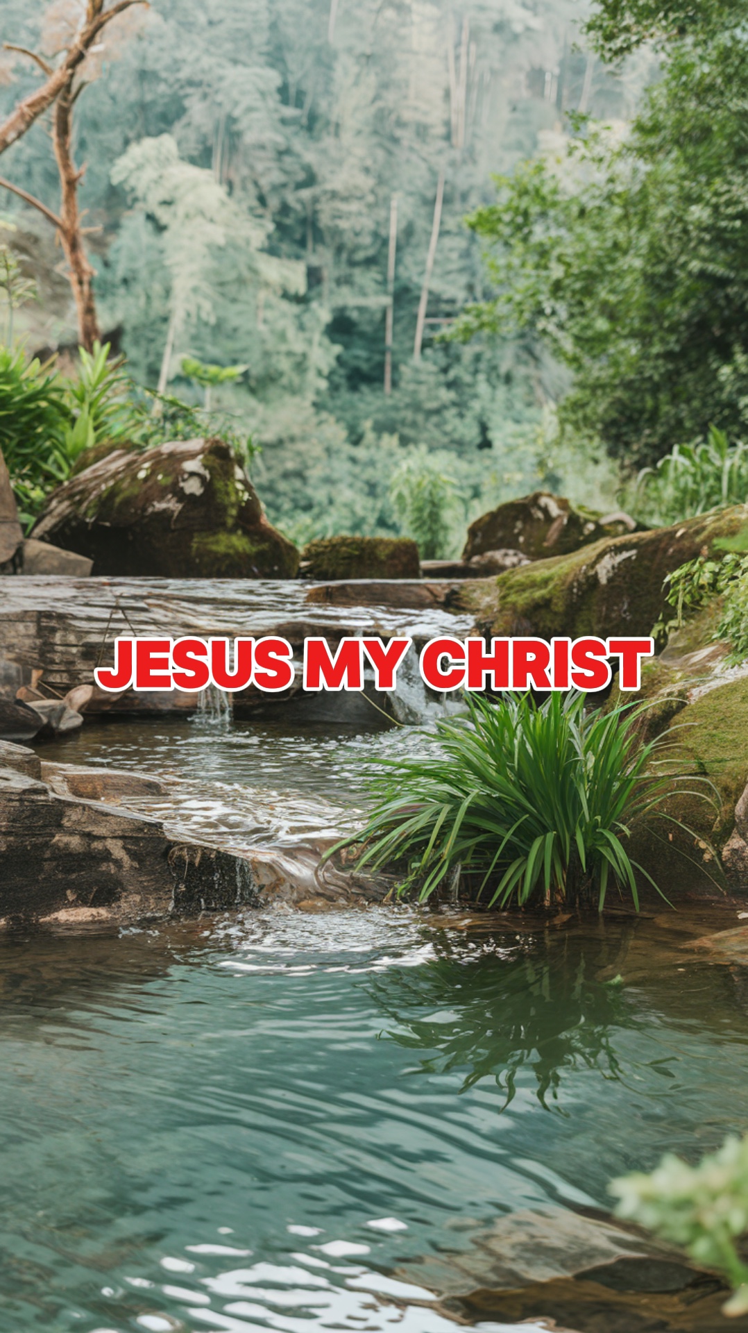 Jesús mi Cristo 