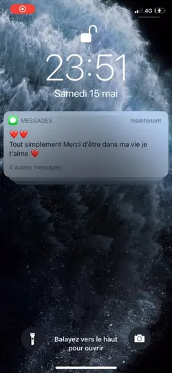 mon dernier amour