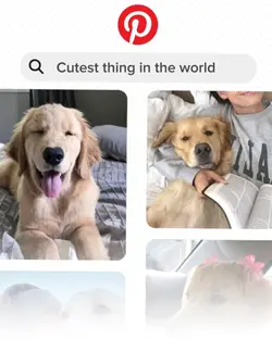 Search interface