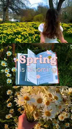 Hello, Spring