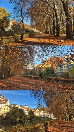 November Tübingen