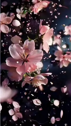 wallpaper