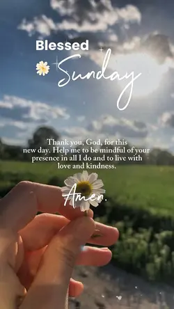 Blessed Sunday ✨
