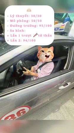 🚗
