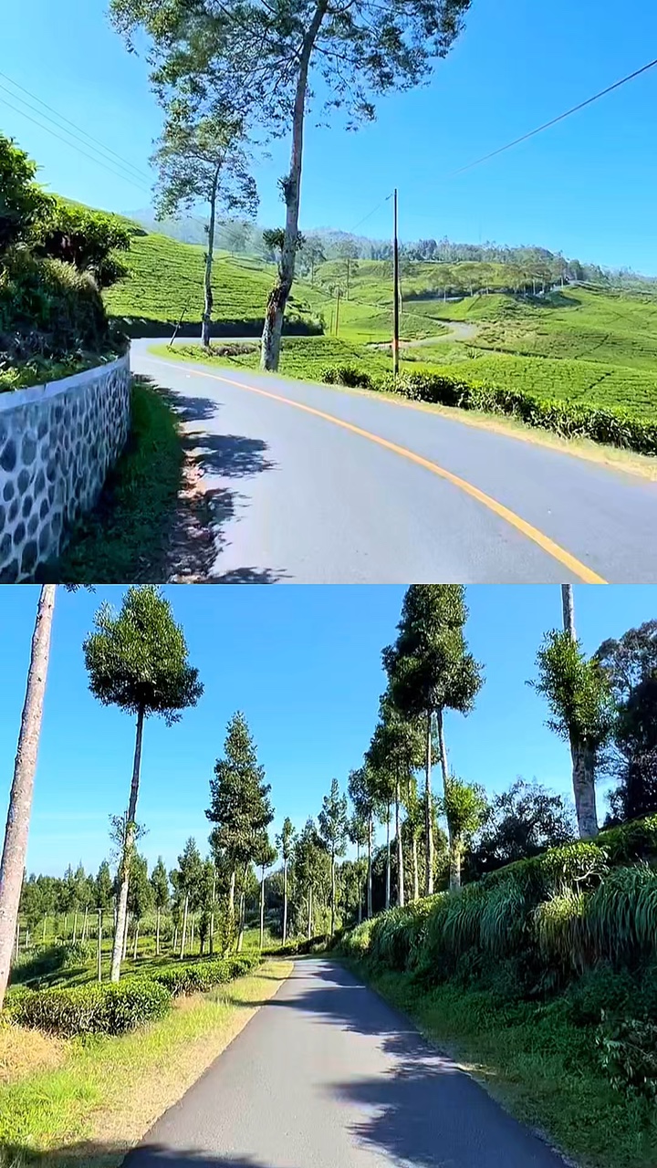 2 비디오 콜라주
