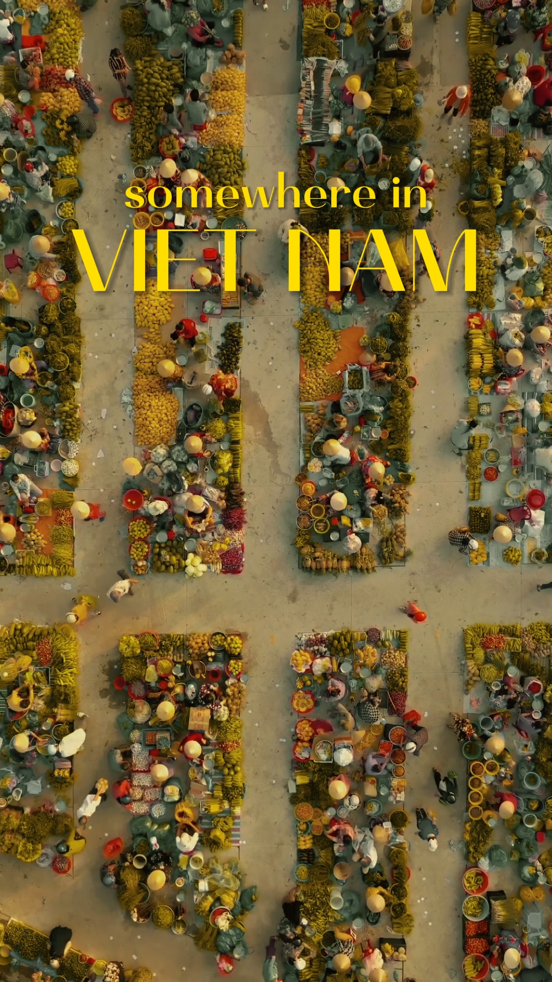 TÁCH ẢNH - Huyền Vi