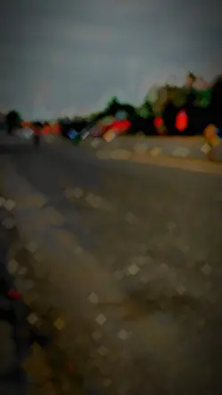 Mẫu 1 video xe khách