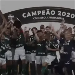 edit palmeiras