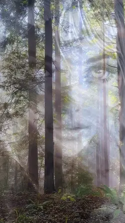 WOODLAND BLISS