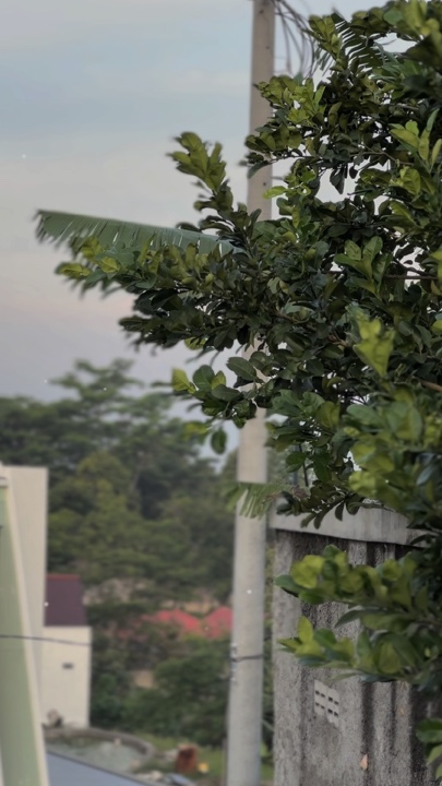 CINÉMATIQUE HD JERNIH