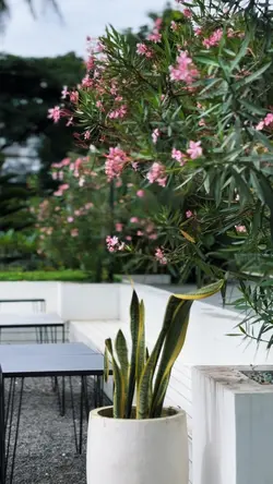 WE DON’T TALK ANYMOR