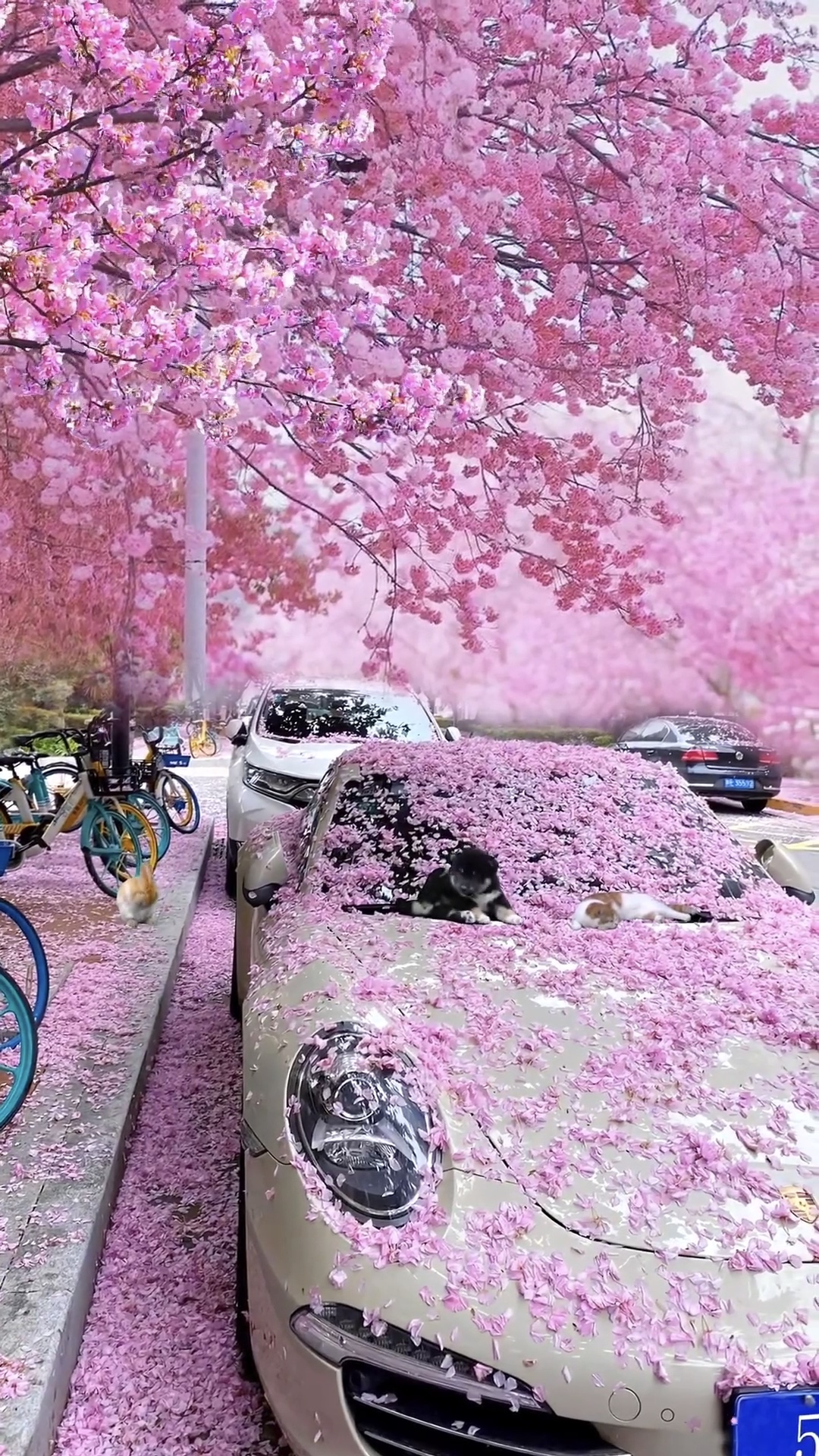 Aufleuchten / Vergleich