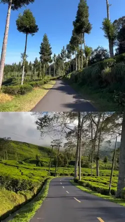 2 kolase frame video