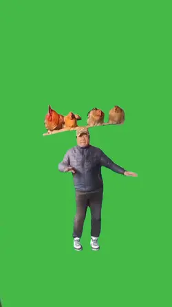 Dancing with Chicken