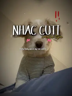 you're my sun and ..