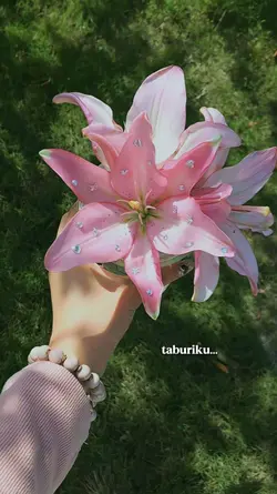 taburiku dengan cint