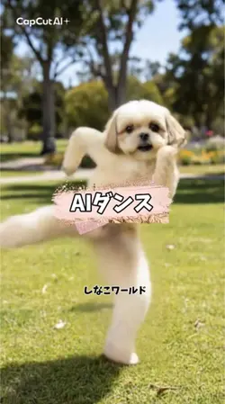 しなこワールド