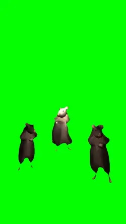 Funny Dancing Rat's