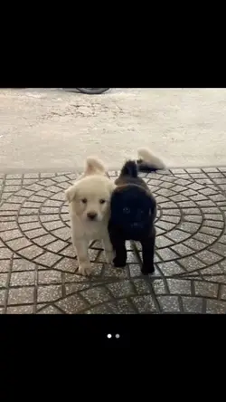 จากวันนี้จะขอ