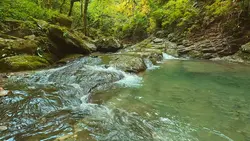 sounds of nature