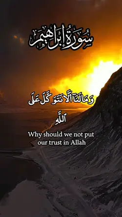 Quran template 