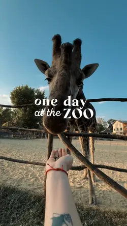 one day at the zoo