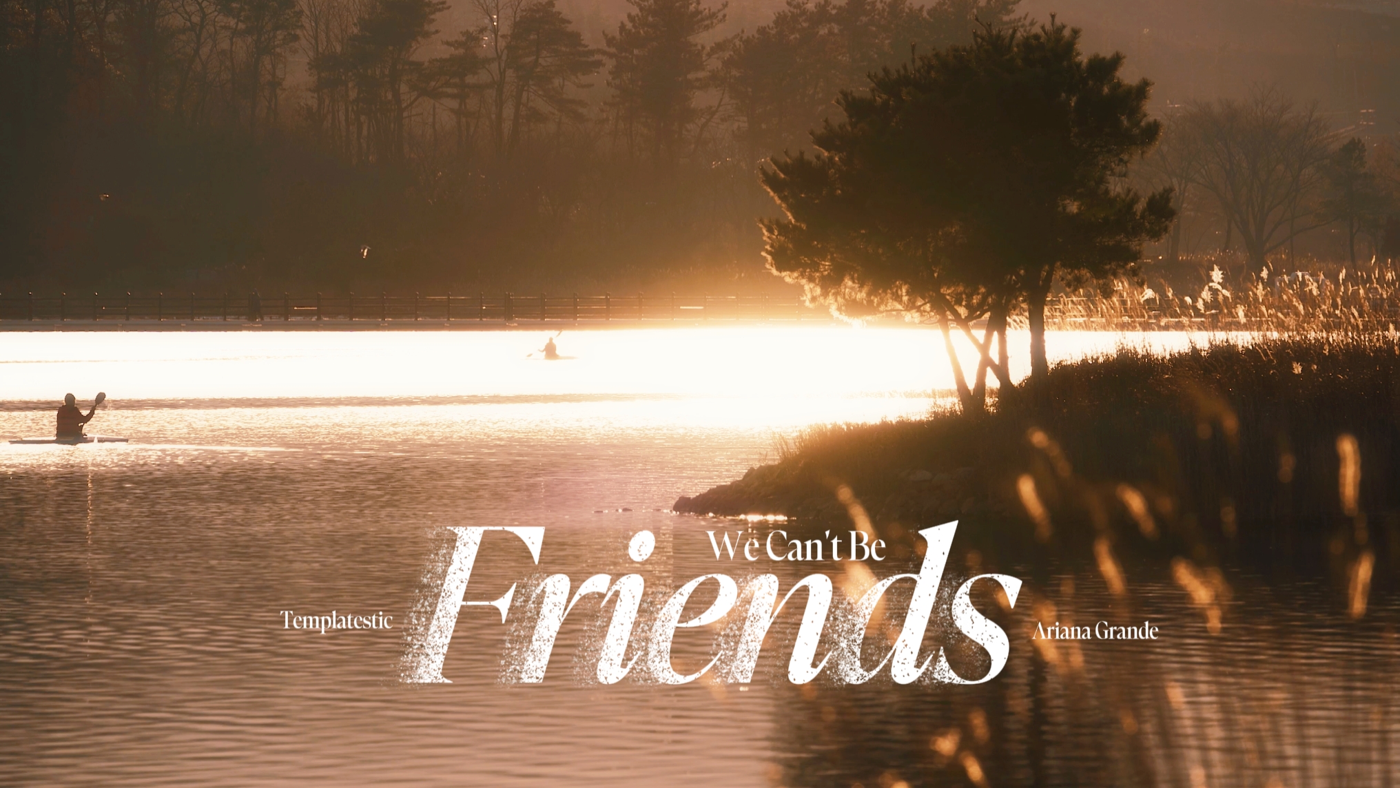 WE CAN'T BE FRIENDS 