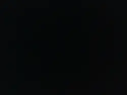 オイラは行くぜどこまでも