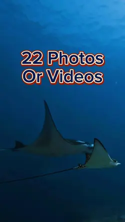 22 Photo Slides