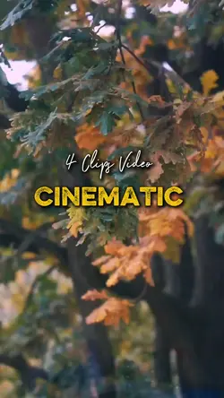 Cinematic 4 Video