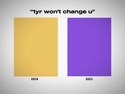 2024 vs 2025