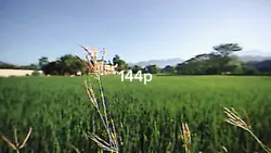 144p X 4K 