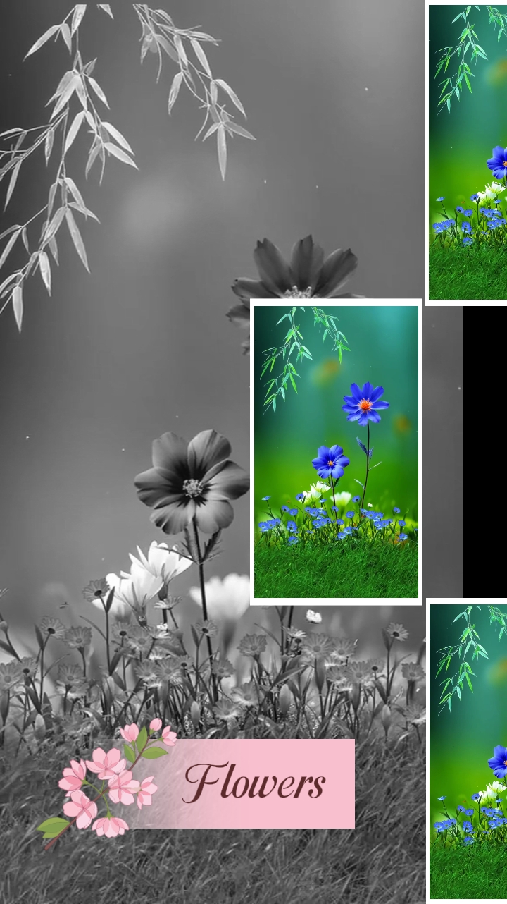 FLORES 