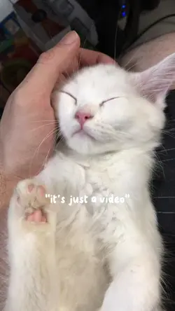 ໒꒰ྀི´ ˘ ` ꒱ྀིა