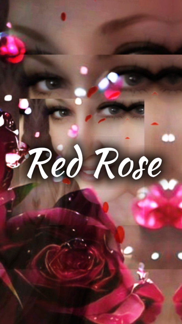 Red Rose