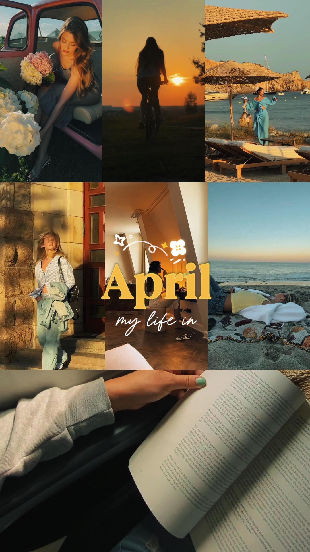 Cover Picture