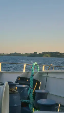 colorimétrie vidéo 